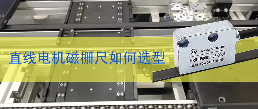 ֱߵդѡ͹淶